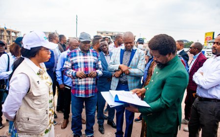 RDC: Les ministres des Affaires foncières et de l'Urbanisme inspectent des sites illégalement occupés