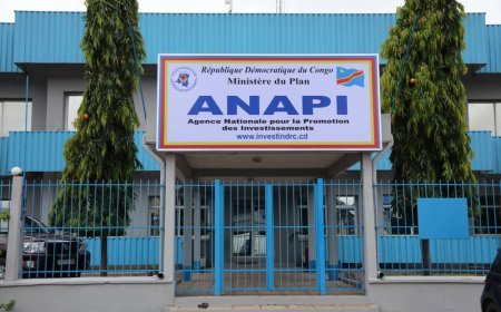 La consommation locale, un levier pour le développement de la RDC