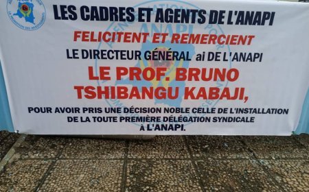 RDC : Le DG Bruno Tshibangu Kabaji décoré en héros par les cadres et agents de l'ANAPI