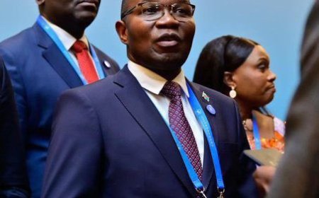 RDC : Un duo de ministres à la tête d'une task force pour mobiliser 50 millions $ de financements chinois