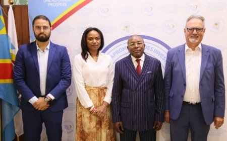 RDC : Le professeur Bruno Tshibangu a accordé une audience de travail à la délégation de la société Welight Africa.com