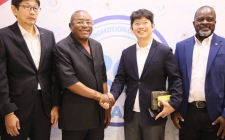 RDC: Sur invitation de l'ANAPI, les investisseurs japonais à Kinshasa
