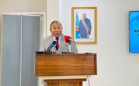 RDC-ANAPI : Le DG Bruno Tshibangu Kabaji, un oiseau rare dégoté pour enchaîner la vision du président Félix Tshisekedi?