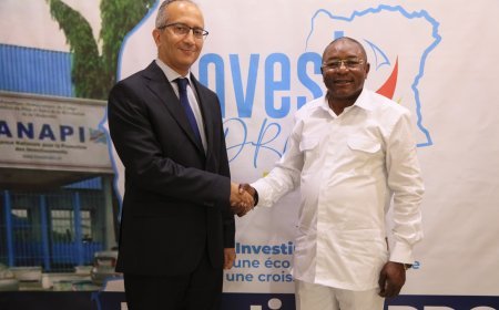 RDC: L'ambassadeur égyptien en visite de courtoisie à l'ANAPI