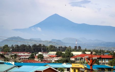 Nord-Kivu : Plusieurs assassinats enregistrés dans la nuit du vendredi au samedi 28 septembre
