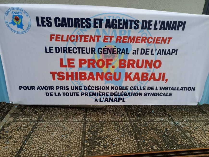 RDC : Le DG Bruno Tshibangu Kabaji décoré en héros par les cadres et agents de l'ANAPI