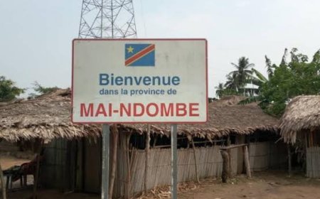 La double morale du gouvernement face aux drames du Mai-Ndombe et du Nord-Kivu  (Tribune)