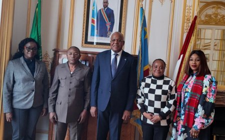 Diplomatie économique : L'ANAPI et l'ambassade de RDC en France renforcent leur partenariat