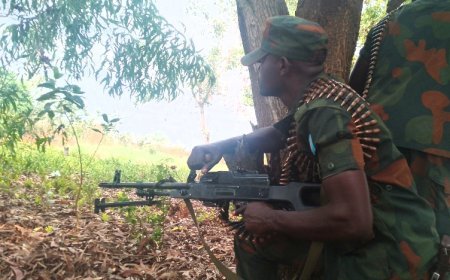 RDC : 10 mobondos neutralisés par l'armée Congolaise