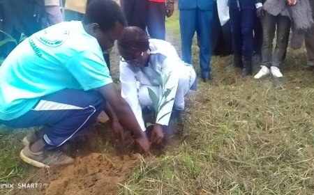 Beni : Des arbres fruitiers plantés par les jeunes à Oicha à l'occasion de la Journée internationale de la forêt