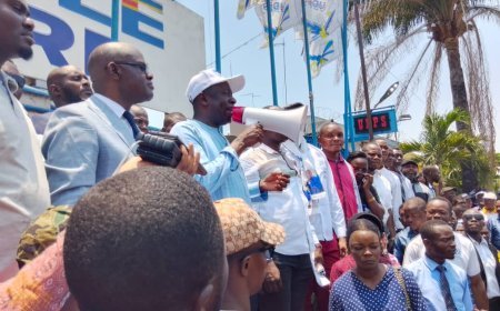 Réforme constitutionnelle en RDC : L'UDPS en première ligne