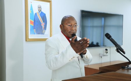 RDC: Le DG Bruno TSHIBANGU KABAJI déterminé à redorer l'image de l'ANAPI étouffée plus d'une décennie