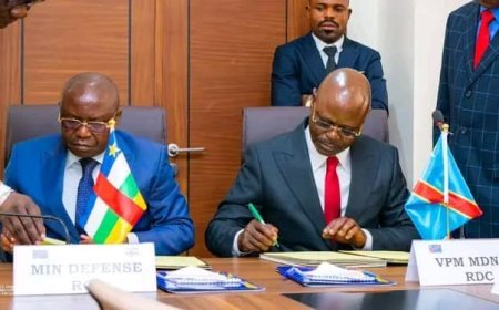 RDC-RCA : Accord de coopération militaire entre les deux pays