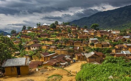 Sud-Kivu: La Société civile force vive se dit insatisfaite de la majorité des projets des ONG oeuvrant à Kalehe