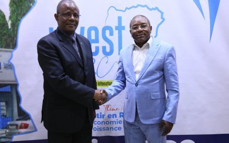 RDC : Une séance de travail entre l'ANAPI et l'Ambassade de la RDC de l'Argentine