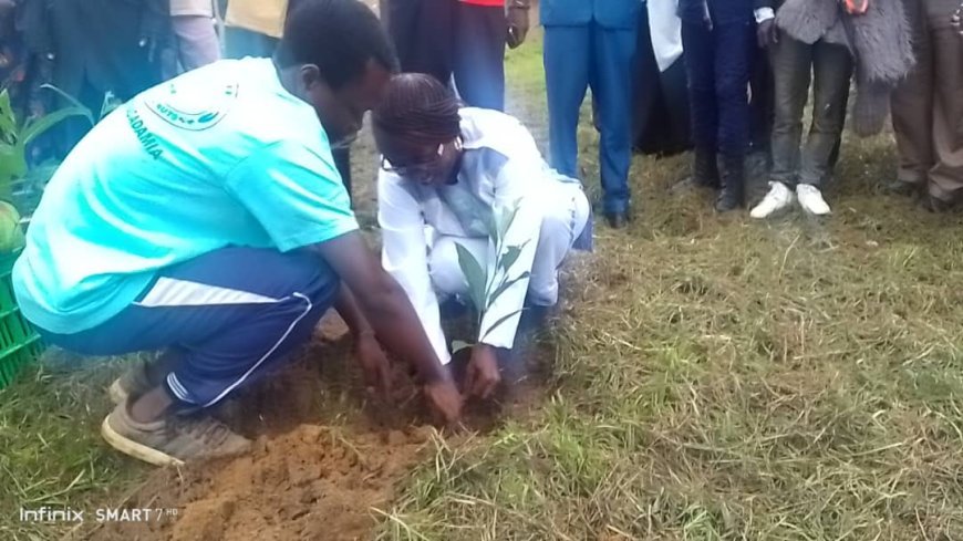 Beni : Des arbres fruitiers plantés par les jeunes à Oicha à l'occasion de la Journée internationale de la forêt