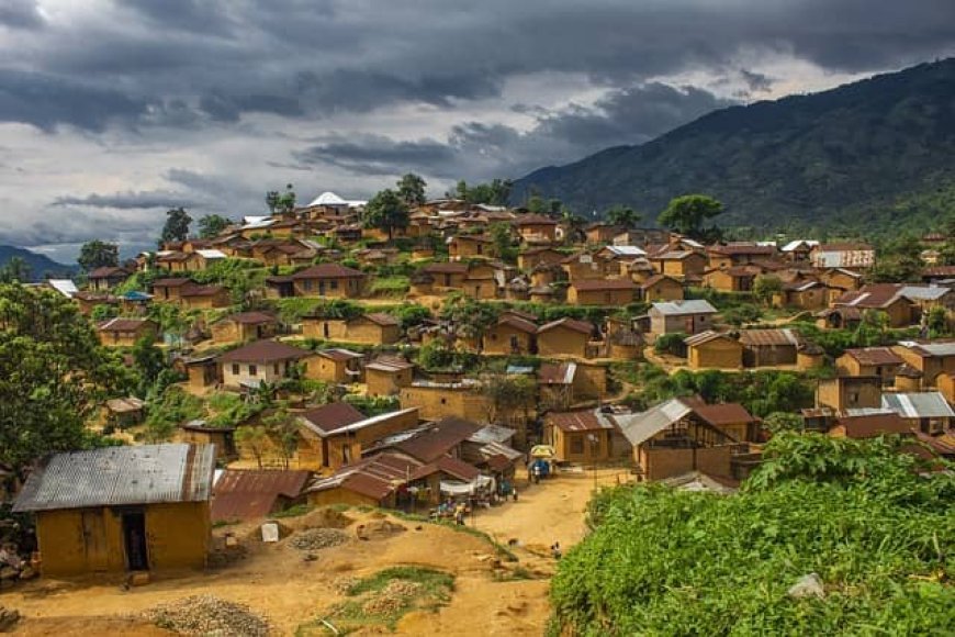 Sud-Kivu: La Société civile force vive se dit insatisfaite de la majorité des projets des ONG oeuvrant à Kalehe