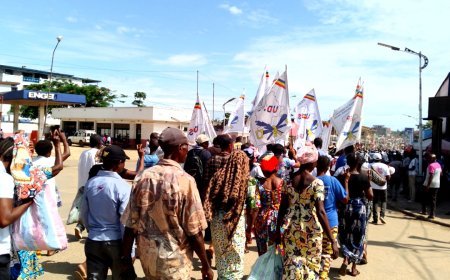 Kisangani célèbre la «Journée consacrée à la base» de l'UDPS