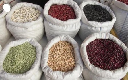 Flambée des prix des haricots à Kisangani : la RN4 en cause