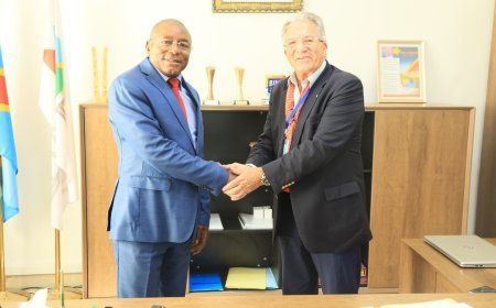 Investissement : rencontre entre l'ANAPI et le LR GROUP pour booster l'économie congolaise