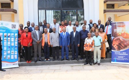 Élaboration du PTBA 2025 : concertation des cadres et agents de l'ANAPI au Collège Boboto