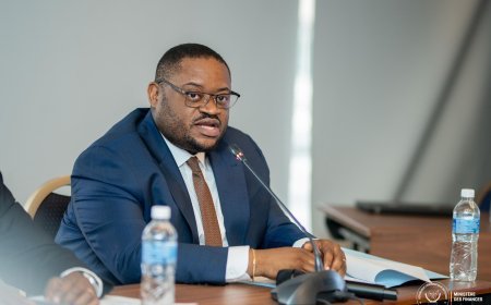 RDC:  face aux défis climatiques, Doudou Fwamba impulse l'optimisation de la dette publique