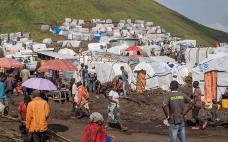 Nord-Kivu : Violences sexuelles contre des femmes dans les sites de déplacés de Baraka et Bushagara