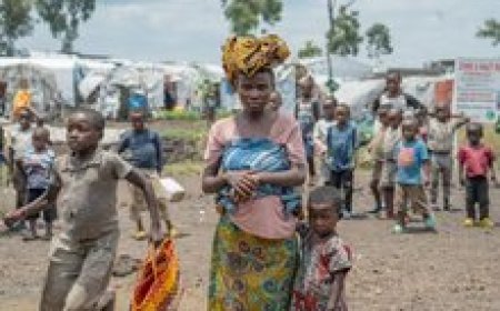 La faim en RDC : un quart de la population en crise