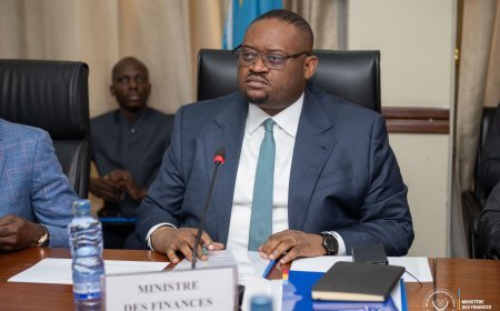 Troïka politique : Doudou Fwamba à la manœuvre pour une stabilisation économique en RDC