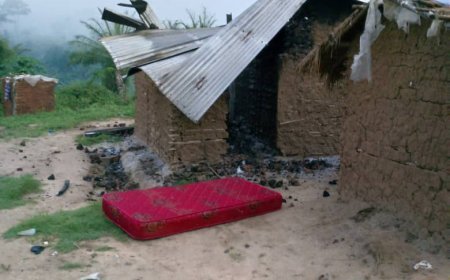 Nord-Kivu : une dizaine de civils tués par les rebelles ADF-MTM sur la route Mbau-Kamango