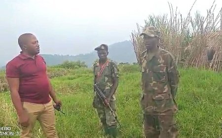 Capture d’un combattant du M23-RDF par l’ANCDH : une victoire stratégique pour les résistants à Masisi