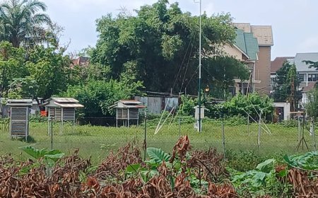 Piétinement de la science en RDC : Le cabinet du VPM BEMBA accusé de brader le Parc de METELSAT