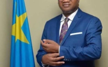 RDC : Noël Tshiani qualifie la production de passeports congolais à l’étranger du “bluff déjà vu et entendu”