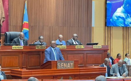 Sénat : Le Ministre des Finances Doudou Fwamba Likunde Li-libotayi présente sept projets de loi de ratification en seconde lecture