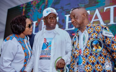 RDC : Le changement de la constitution au centre des discussions aux états généraux de l’UDPS/Tshisekedi