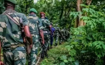 Tensions à Mambasa : les FARDC repoussent une offensive du M23