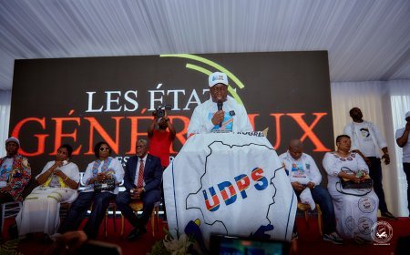 RDC : Le changement de la constitution au centre des discussions aux états généraux de l’UDPS/Tshisekedi
