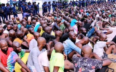 RDC : Opération "Ndobo", 450 bandits arrêtés à Kinshasa