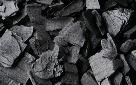 Kasaï : La flambée du prix du charbon de bois à Tshikapa inquiète les habitants