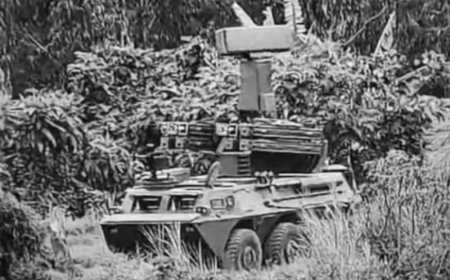 Présence de systèmes de défense aérienne rwandais en RDC : un rapport accablant de l'ONU