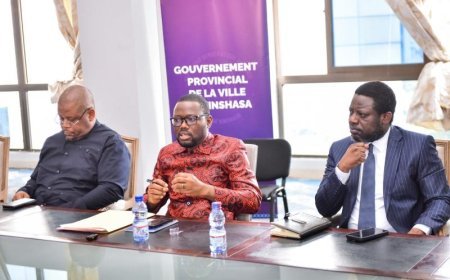 Kinshasa : l'IGF s'installe chez Daniel Bumba pour un audit financier