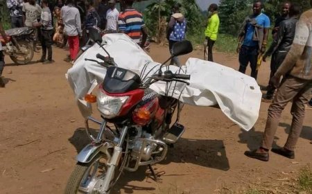 Nouvelle incursion meurtrière des rebelles ADF près de Beni : un appel à l'action urgente