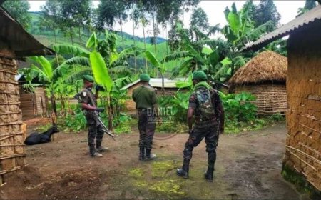 Ngungu : Une offensive du M23 repoussée par les FARDC et les forces locales