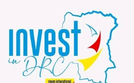 RDC : L'ANAPI reporte le forum "Invest in DRC"