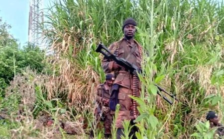 Agression rwandaise dans l'Est de la RDC : Violents affrontements entre les FARDC et le M23/RDF à Sake