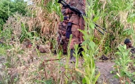 Conflit rwando-congolais : Goma, une ville transformée en camp de déplacés de guerre