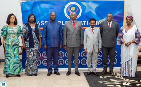 Crise sécuritaire dans l'Est de la RDC : L'Assemblée nationale exige d'urgence le rétablissement de l'eau et de l'électricité à Goma