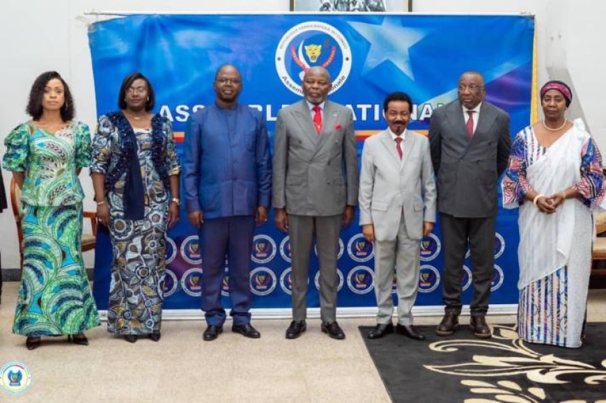 Crise sécuritaire dans l'Est de la RDC : L'Assemblée nationale exige d'urgence le rétablissement de l'eau et de l'électricité à Goma