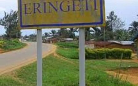 Situation sécuritaire précarious à Baungatsu Luna : les rebelles de l'ADF circulent librement