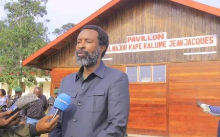 Crise dans l'Est de la RDC : le député Crispin Mbindule, UDPS veut imposer la paix par la force